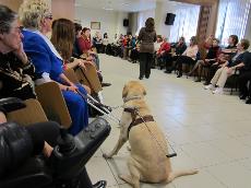 Mujeres Agrupación Alicante